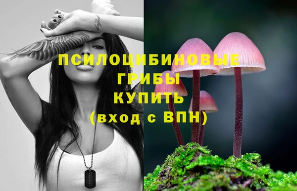 марки lsd Козловка