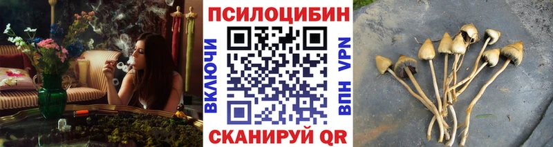Галлюциногенные грибы мухоморы Куровское